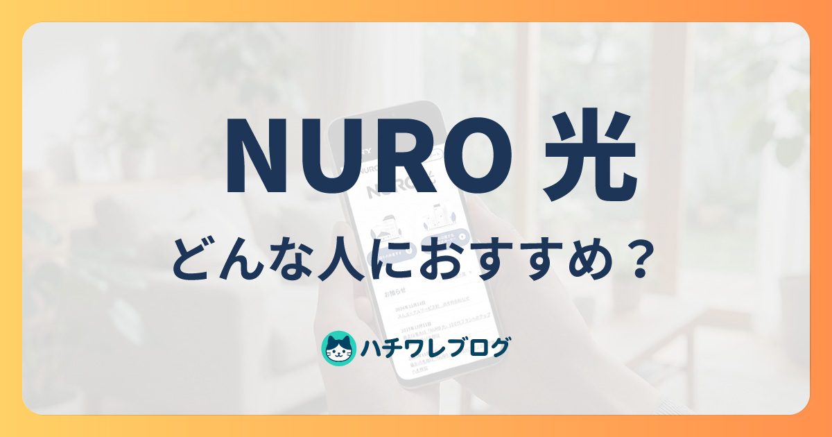 NURO 光　どんな人におすすめ？